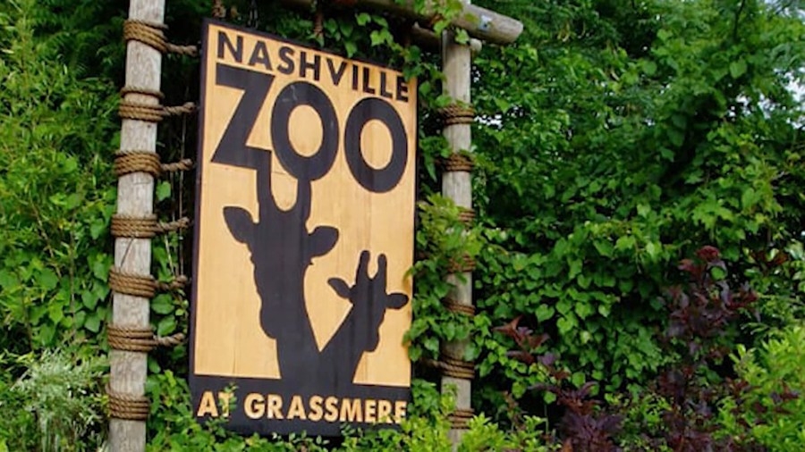 Woman accused of punching, scratching employee at Nashville Zoo