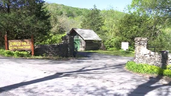 Owl's Hill Nature Sanctuary: Preserving wildlife and habitats in Brentwood