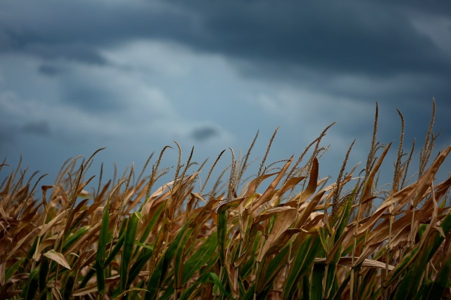 SKYWARN Storm Spotters: How to help the NWS in reporting weather information