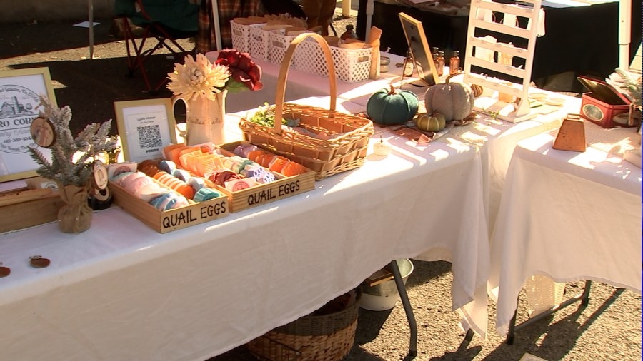 Young entrepreneurs shine at Gallatin’s Main Street Festival